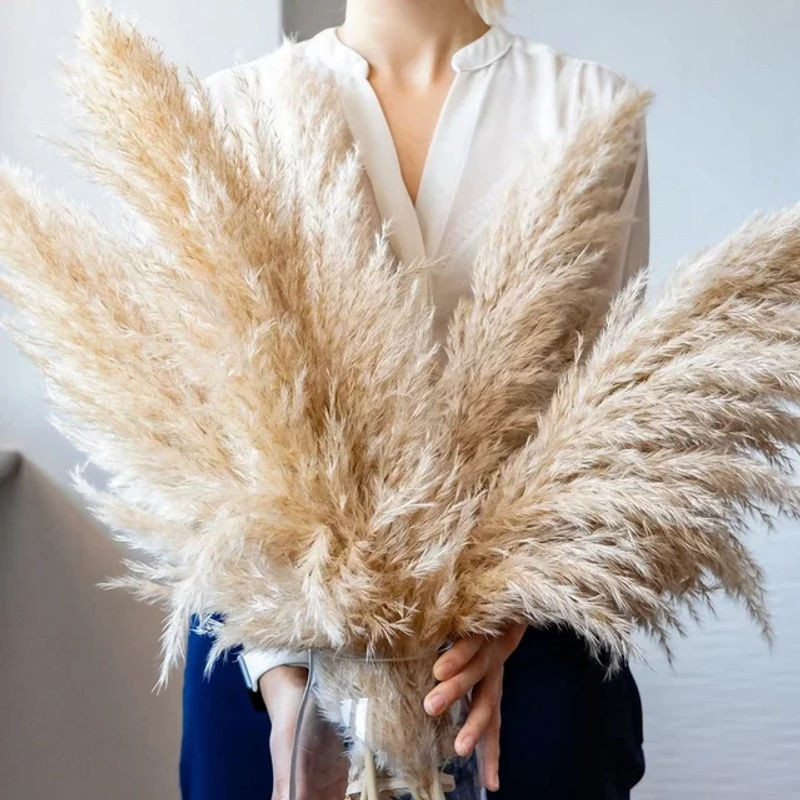 GARCIA Pampasgras beige, natürlicher getrockneter Blumenstrauß für Boho-Hochzeitsdekoration und Vintage-Heimdekoration - Bild 1
