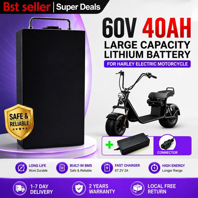 60V 40Ah Li-Ionen-Akku in Schwarz für 2000W Harley Citycoco Elektroroller und faltbare Elektromotorräder - Bild 1