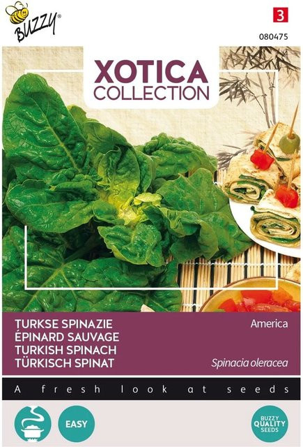 Türkischer Spinat Buzzy Xotica Samen für die Freilandaussaat, 20 g - Bild 1