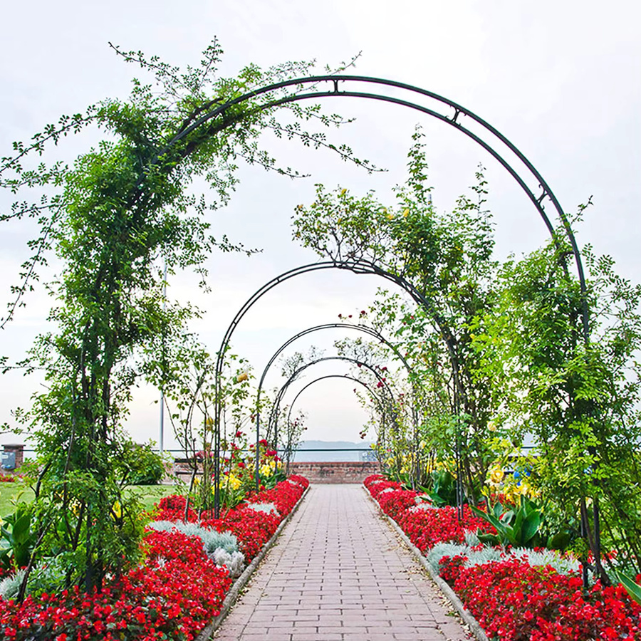 Forever Speed Rosenbogen Metall Pergola Rankhilfe Rankgitter Torbogen H: 240 cm, B: 140 cm, T: 38 cm - Bild 4