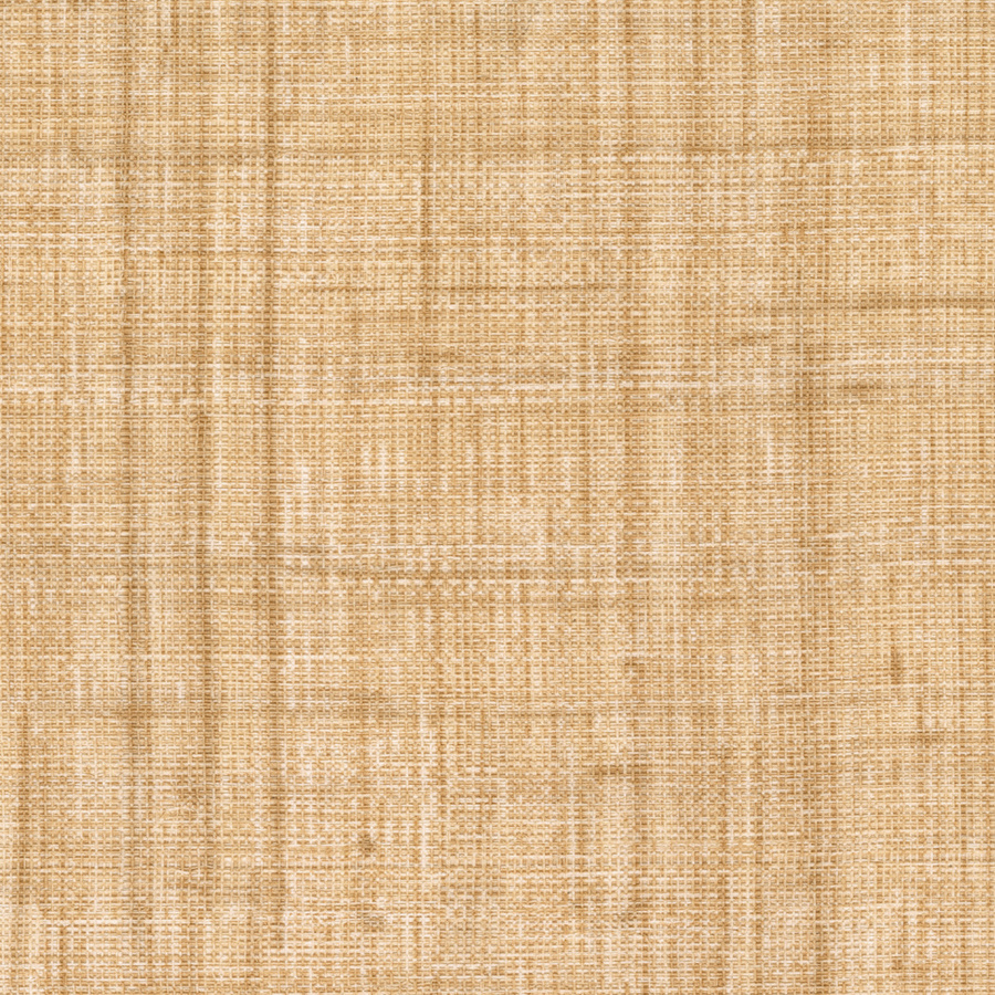 Élitis Tapete Abaca VP 983 06 in Beige mit abstraktem Design - Bild 1