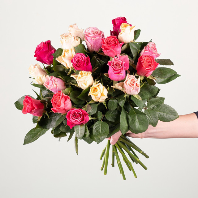 BLUME2000 Rosen pink multicolour Bunch 20 Stiele - Bild 1