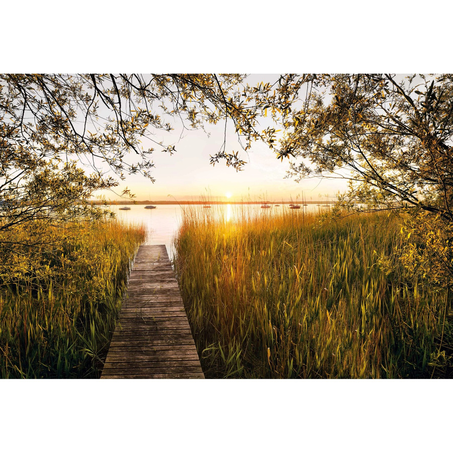 Komar Fototapete Vlies Lakeside Multicolor B: 400 cm, H: 260 cm - Bild 2