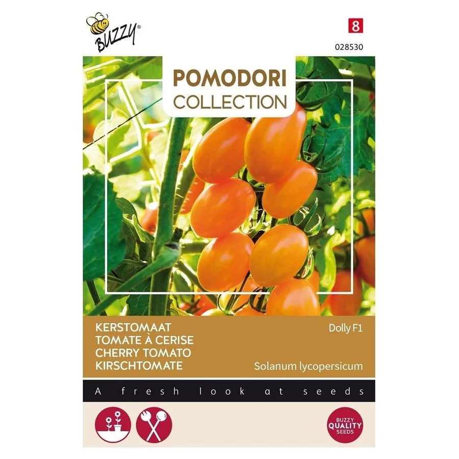 Arborix Kirschtomate Dolly F1 Buzzy Pomodori Gemüsesamen für Garten und Gewächshaus, 7 Stück - Bild 2