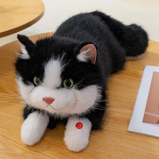 Ragdoll Katze Plüschtier, Braun, Weiß, Schwarz, ab 14 Jahren - Bild 1