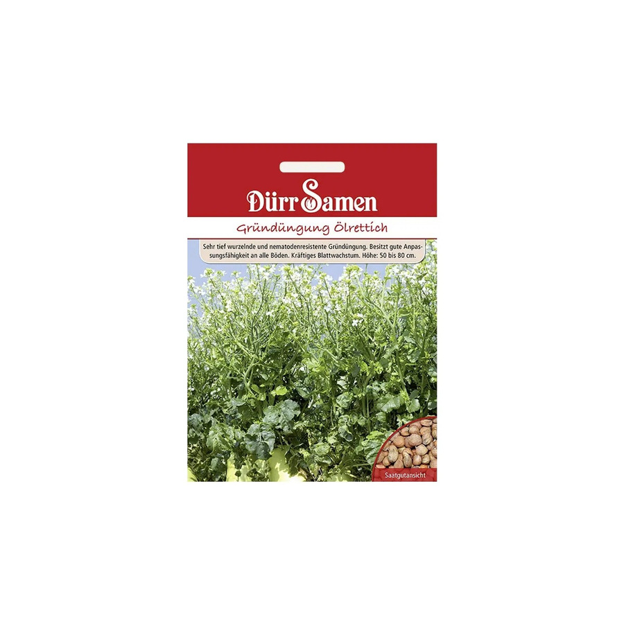 Dürr Samen Ölrettich Gründüngung Saatgut 1 kg - Bild 2