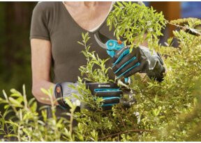 Gardena Strauchpflegehandschuh für Schneidarbeiten in dichten Sträuchern und Gestrüpp Größe 8 - Bild 2