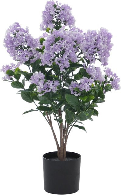 MCW Künstlicher Flieder Q87 Dekopflanze in Lila, Outdoor Kunstpflanze aus Polyethylen, H x B x T: 64 x 35 x 35 cm - Bild 1