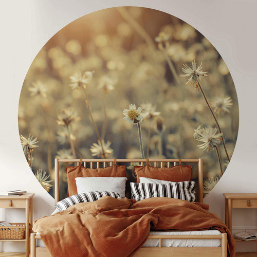 K&L Wall Art Runde Vliestapete GänseBlumen Wiese Daisy, mehrfarbig, matt - Bild 2