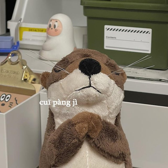 Yiran toy Kawaii Fischotter Plüschtier, Seeotter Puppe, 18cm - Bild 1