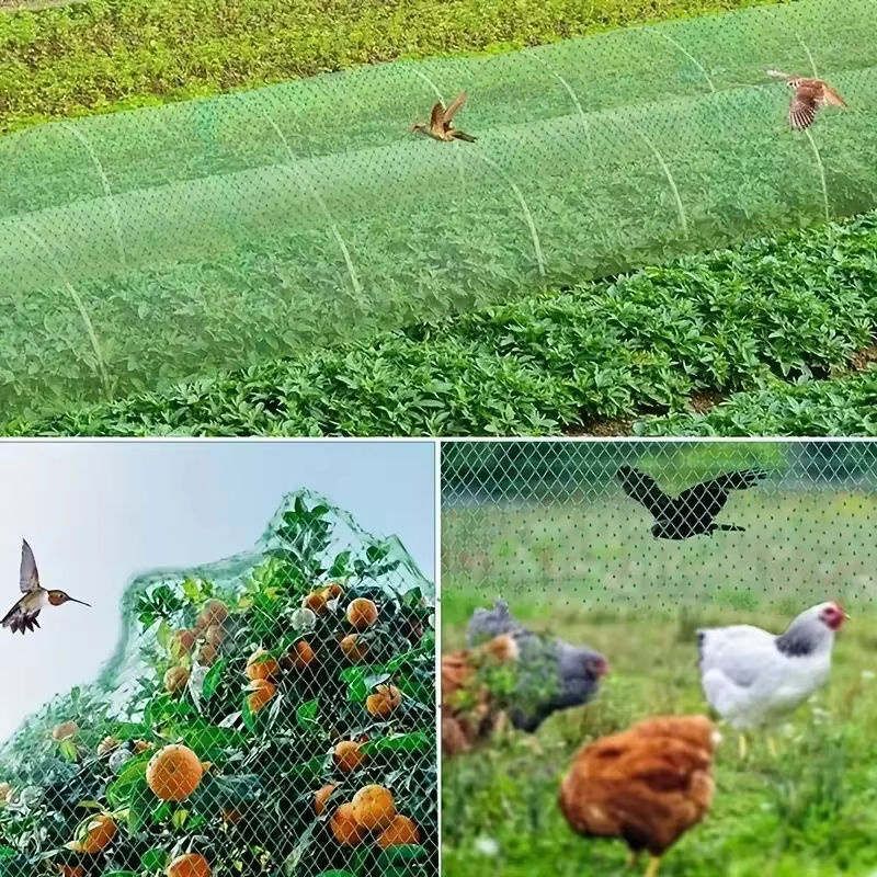 Grünes Gartennetz zum Schutz von Pflanzen, Früchten und Bäumen gegen Vögel und Tiere - Bild 3