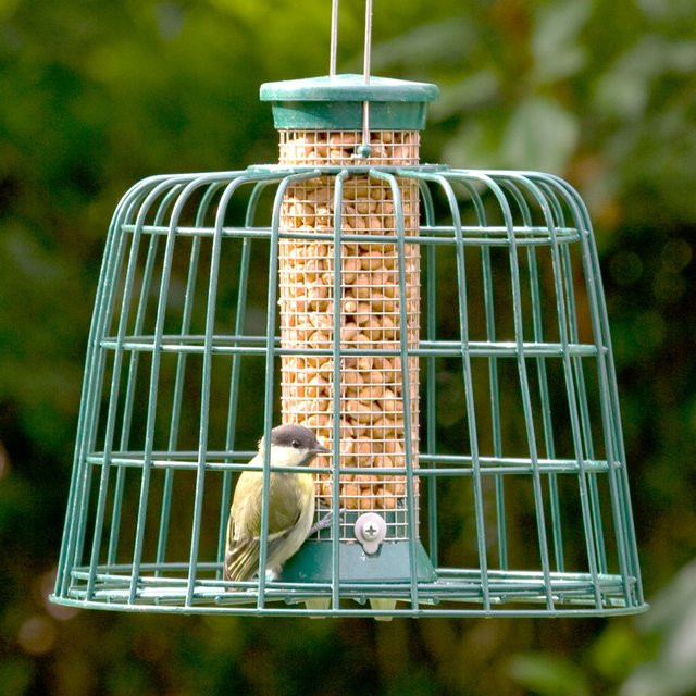 CJ Wildlife Schutzpaket für Erdnusssäule in Grün, Durchmesser: 23 cm - Bild 1