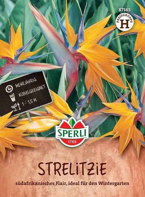 SPERLI Strelitzien-Samen bunt - Bild 1
