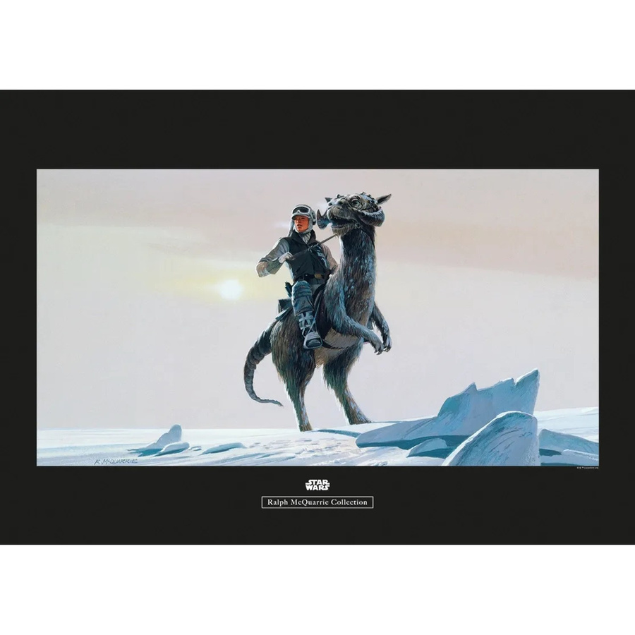 Komar Wandbild Star Wars Tauntaun Paper Poster Multicolor B: 70 cm, H: 50 cm - Bild 2