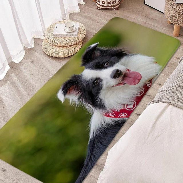 Digitaldruck Fußmatte mit Border Collie Motiv, bunt, B/T: 60 x 40 cm - Bild 1