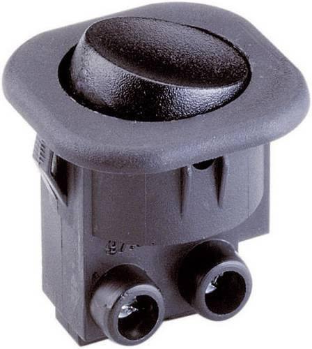 InterBär Wippschalter 8014-104.01 Schwarz 250 V/AC 6A 1 x Aus/Ein rastend - Bild 1