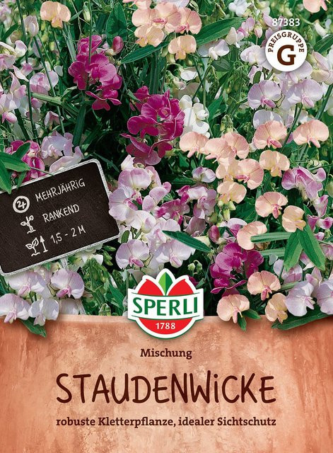 SPERLI Staudenwicken-Samen-Mischung bunt für Zäune, Gitter und Sichtschutz - Bild 1