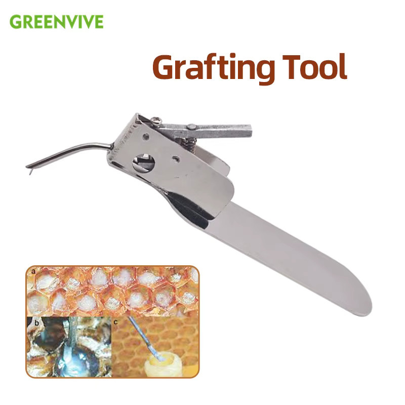 GREENVIVE Bienenköniginnen-Larven-Transfernadel mit Ersatzzunge in Silber für die Königinnenzucht - Bild 3