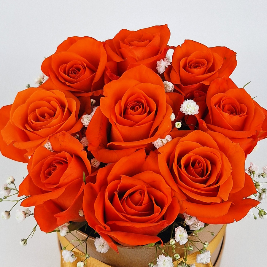 Box Amsterdam Arrangement Rosen Orange Birthday Round - Bild 2