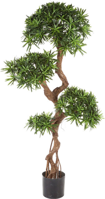 Künstlicher Podocarpus Patrick von Aplanta, Höhe: 135 cm - Bild 1