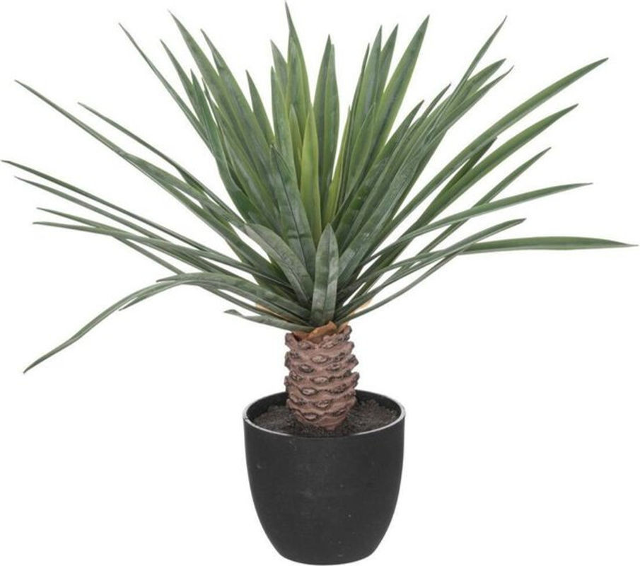 Atmosphera Künstliche Palme Rivi in grün mit schwarzem Zementtopf aus Beton, Höhe: 52 cm - Bild 1