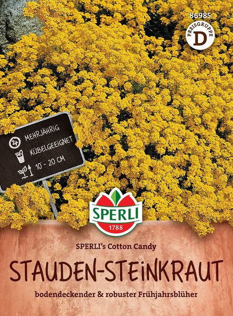 SPERLI Stauden-Steinkraut-Samen Cotton Candy bunt - Bild 1