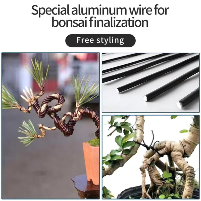 Bonsai-Trainingsdraht aus eloxiertem Aluminium in Schwarz, 5 m Pflanzenunterstützung für die Formgebung deiner Pflanzen, erhältlich in den Stärken 1 mm, 1,5 mm, 2 mm, 2,5 mm und 3 mm - Bild 4