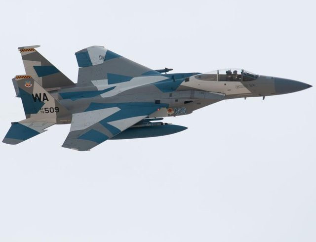 Revell Boeing F-15C Eagle, Modellbau, 1:72 - Bild 1