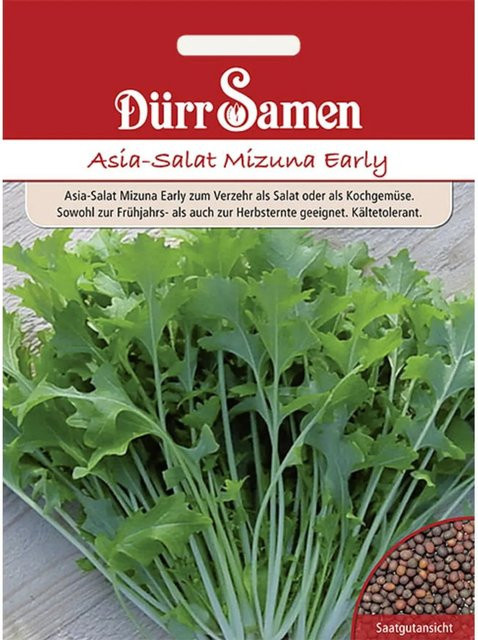 Dürr Samen Mizuna Early Asia-Salat Saatgut für Frühjahr und Herbst, 500 g - Bild 1