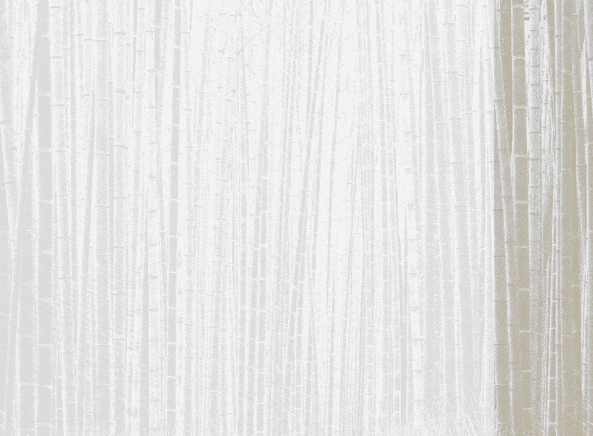 Jannelli & Volpi Mural Arashiyama Wandgestaltung Neutral Panel 6 in Weiß aus Vinyl - Bild 1