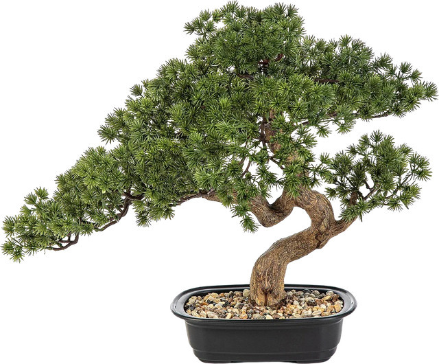 Künstlicher Bonsai Sofia von Aplanta, Höhe: 44 cm - Bild 1
