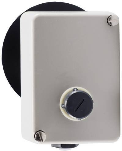 Jumo Temperaturbegrenzer 60002218 in Grau - Bild 1