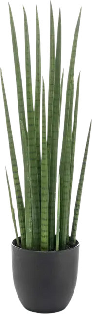 Künstlicher Bogenhanf Joleen von Aplanta, grün, Höhe: 70 cm - Bild 1