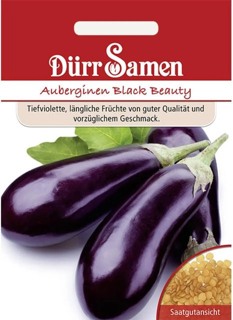 Dürr Samen Auberginen Black Beauty Saatgut - Bild 1