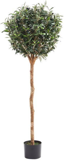 Künstlicher Olivenbaum von Aplanta, Höhe: 150 cm - Bild 1