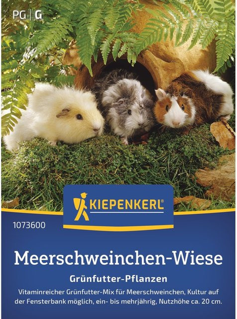 Kiepenkerl Meerschweinchen-Wiese Kräutersamen für Grünfutter-Pflanzen in Grün und Mehrfarbig - Bild 1