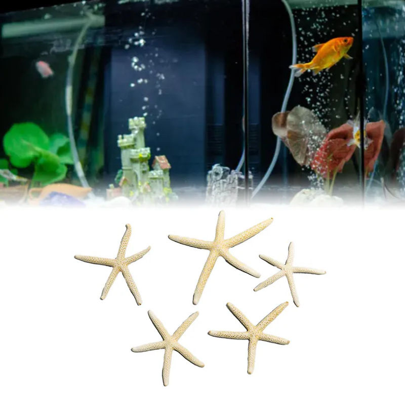 GoolRC Seestern Deko Set in Weiß für dein Aquarium und maritime Dekorationen - Bild 2