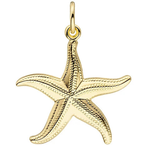 Colfem Anhänger Seestern, 333 Gelbgold, Unisex - Bild 1