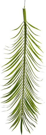 Aplanta Künstliche Phoenixpalmen Blätter für deinen Kunstbaum