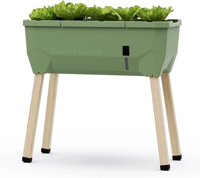 Gusta Garden Hochbeet Sammy Salad Dunkelgrün ohne Haube für Gemüse- und Kräutergärten B/T/H: 75 x 37,5 x 75 cm - Bild 1