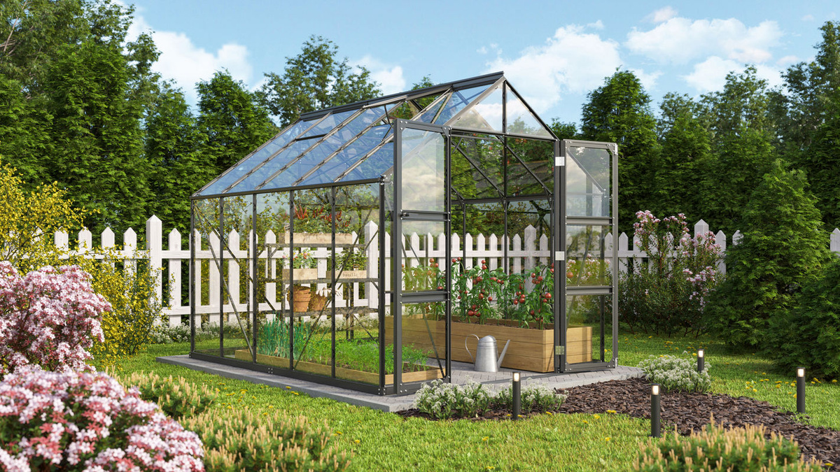 Vitavia Gewächshaus Domus 8300 in Schwarz mit Einscheibensicherheitsglas und Doppelschwingtür, 8,3 m² - Bild 2