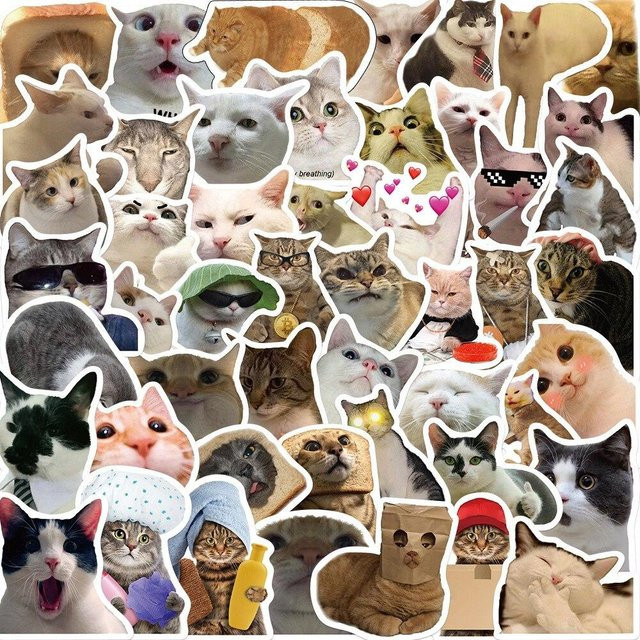 50 Stück Kitty Meme Aufkleber Lustige Katzen Graffiti Sticker in Weiß für Laptop Skateboard und Gepäck - Bild 1