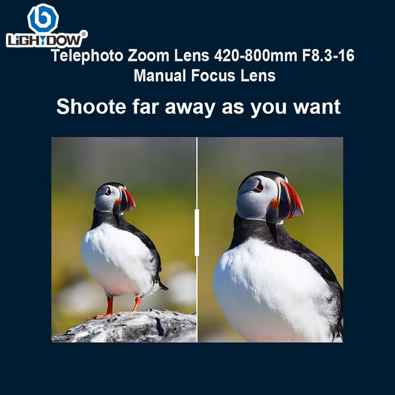 Lightdow Telezoomobjektiv 420–800 mm f/8,3–16 mit 2-fachem Konverter und 3-in-1 Kamerafilter-Set für Canon und Nikon in Schwarz und Weiß - Bild 4
