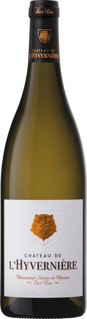 Château de l’Hyvernière Muscadet Sèvre et Maine, Weißwein, Melon, 2024, Frankreich, trocken, 0,75 l - Bild 1
