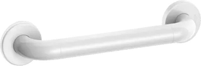 Delabie Haltegriff weiß matt aus Kunststoff und Stahl, Wandmontage, Durchmesser: 32 mm, Länge: 300 mm - Bild 1