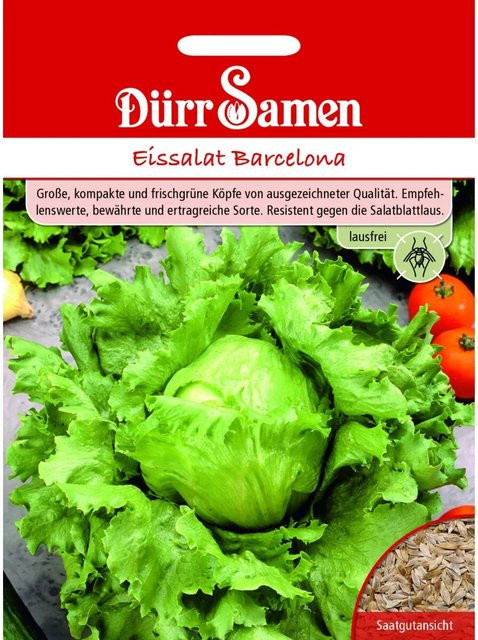 Dürr Eissalat Barcelona Lausfrei Saatgut 6 g - Bild 1