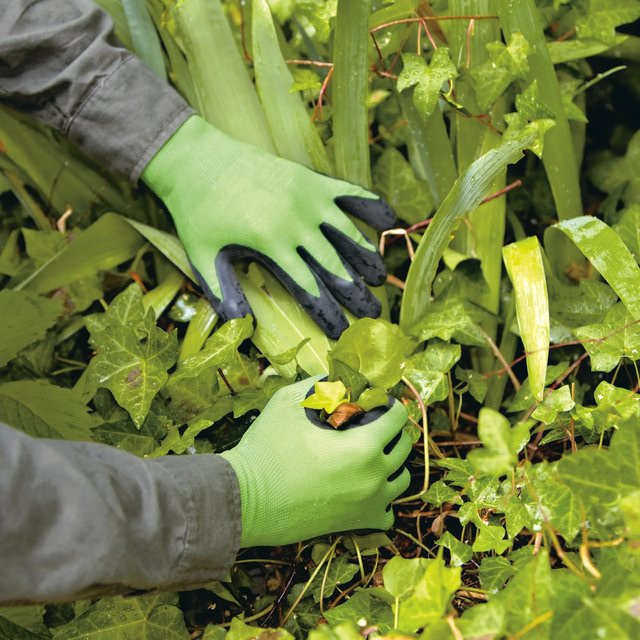 LUX-TOOLS Gartenhandschuh mit Latex-Teilbeschichtung in Grün und Grau, Größe 10 - Bild 1