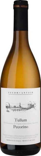Cantina Tollo Feudo Antico Pecorino Weißwein, Abruzzen, 2024, trocken, 0,75 l - Bild 1