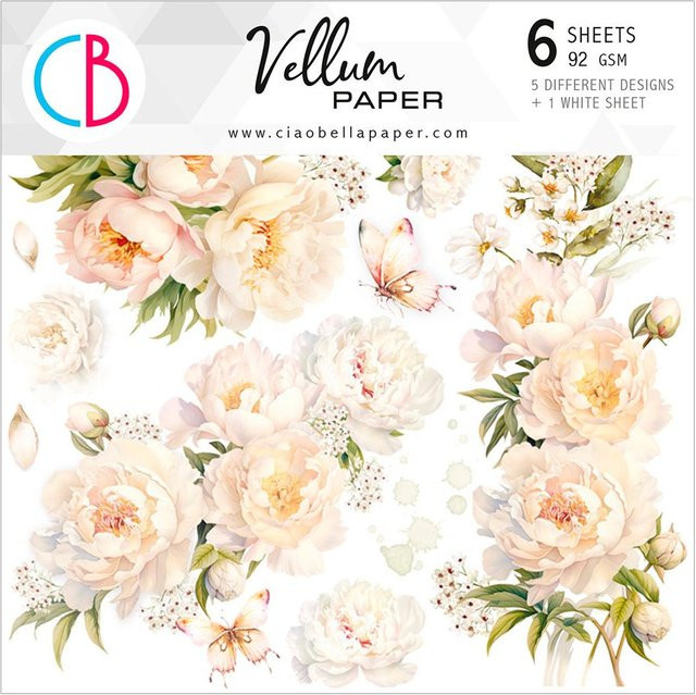 Vellum Paper Always & Forever in Transparent und Beige, 15 x 15 cm - Bild 1