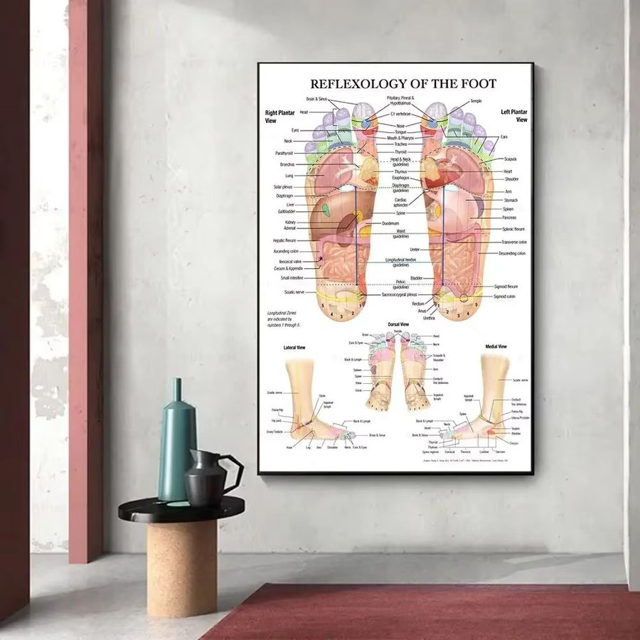 Potdemiel Wandkunst Skandinavisch: Poster mit Akupunkturpunkten, Anatomie und Fußreflexzonenmassage in Weiß auf Leinwand - Bild 4